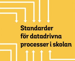 standardrapport-300×243